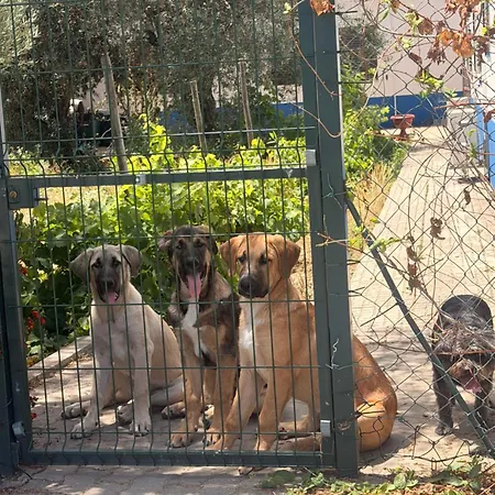 Retiro Dos Batudes Casa de hóspedes Palmela